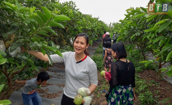 Thiết Kế và Thi Công Homestay