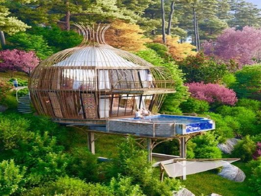 Thiết Kế và Thi Công Homestay
