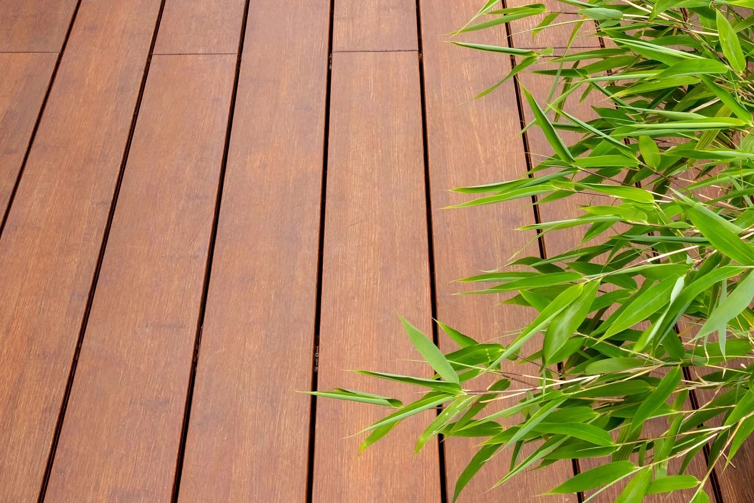 Sàn tre mặt phẳng kết hợp cây xanh
